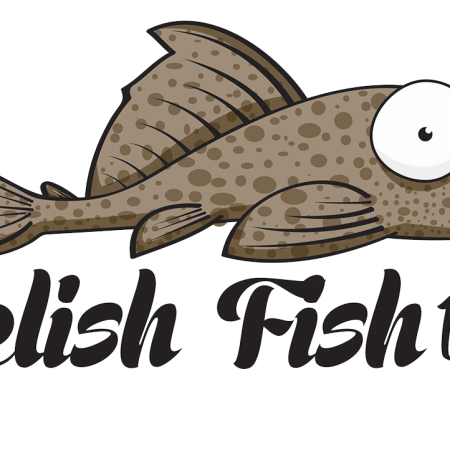 Delish-Fish-DIY-Logo